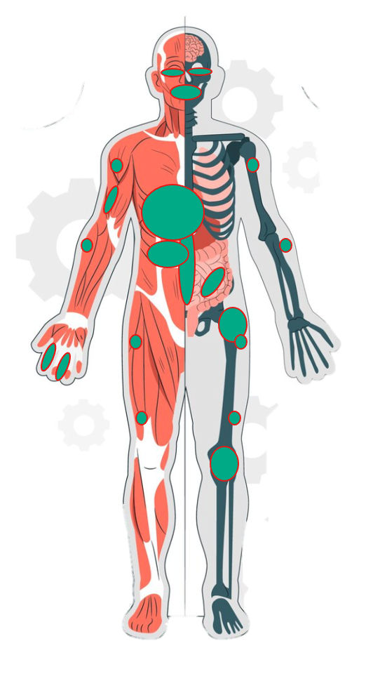 amylose-insuffisance-cardiaque
